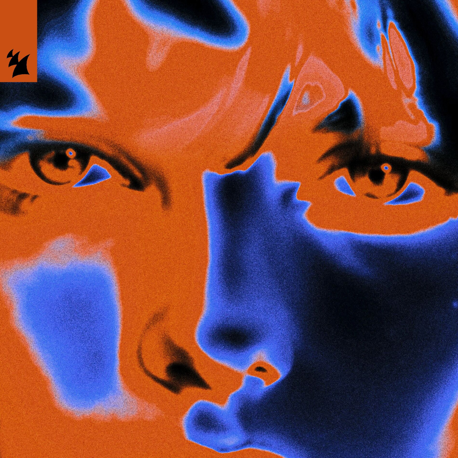 Album cover of The Orange Theme