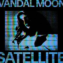 Satellite