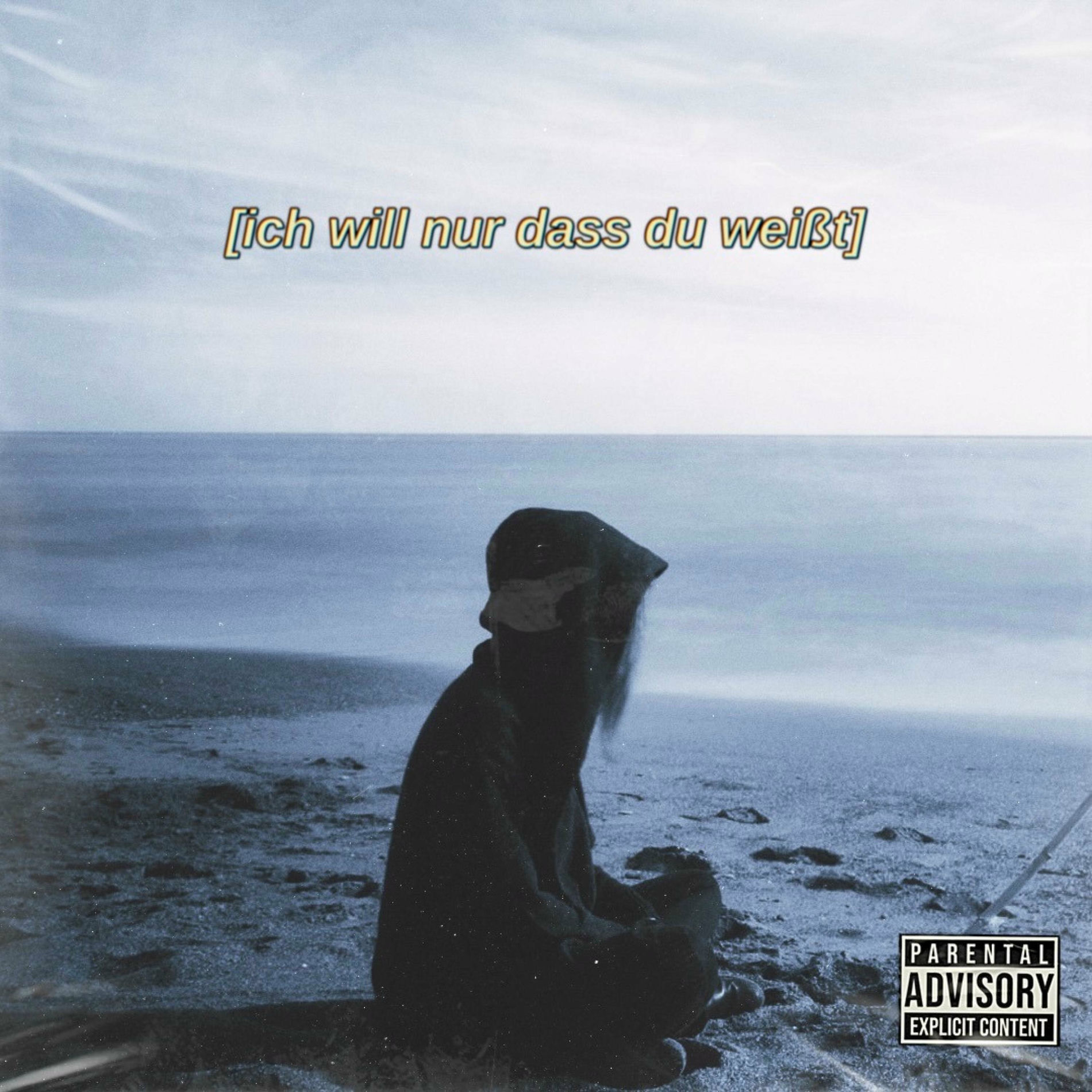 Album cover of ich will nur dass du weißt
