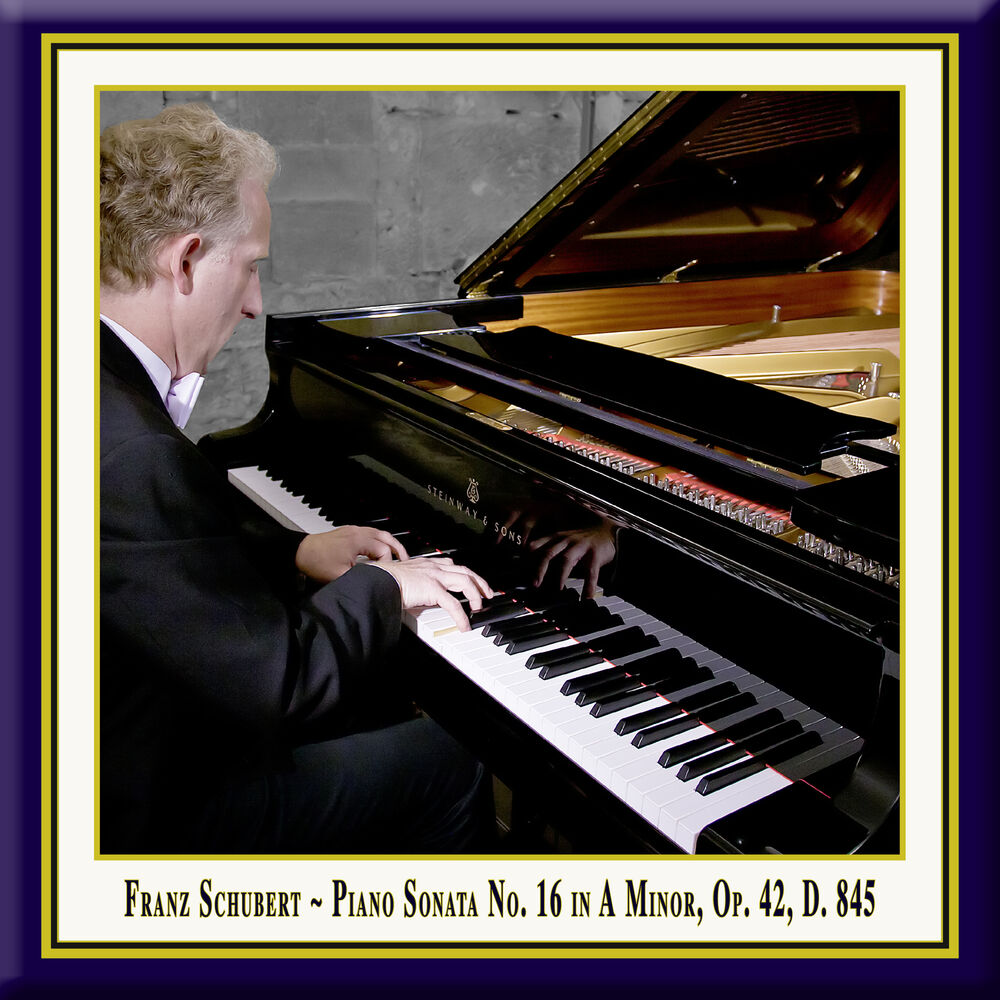 Picture of Schubert: Piano Sonata No. 16 in A Minor, Op. 42, D. 845