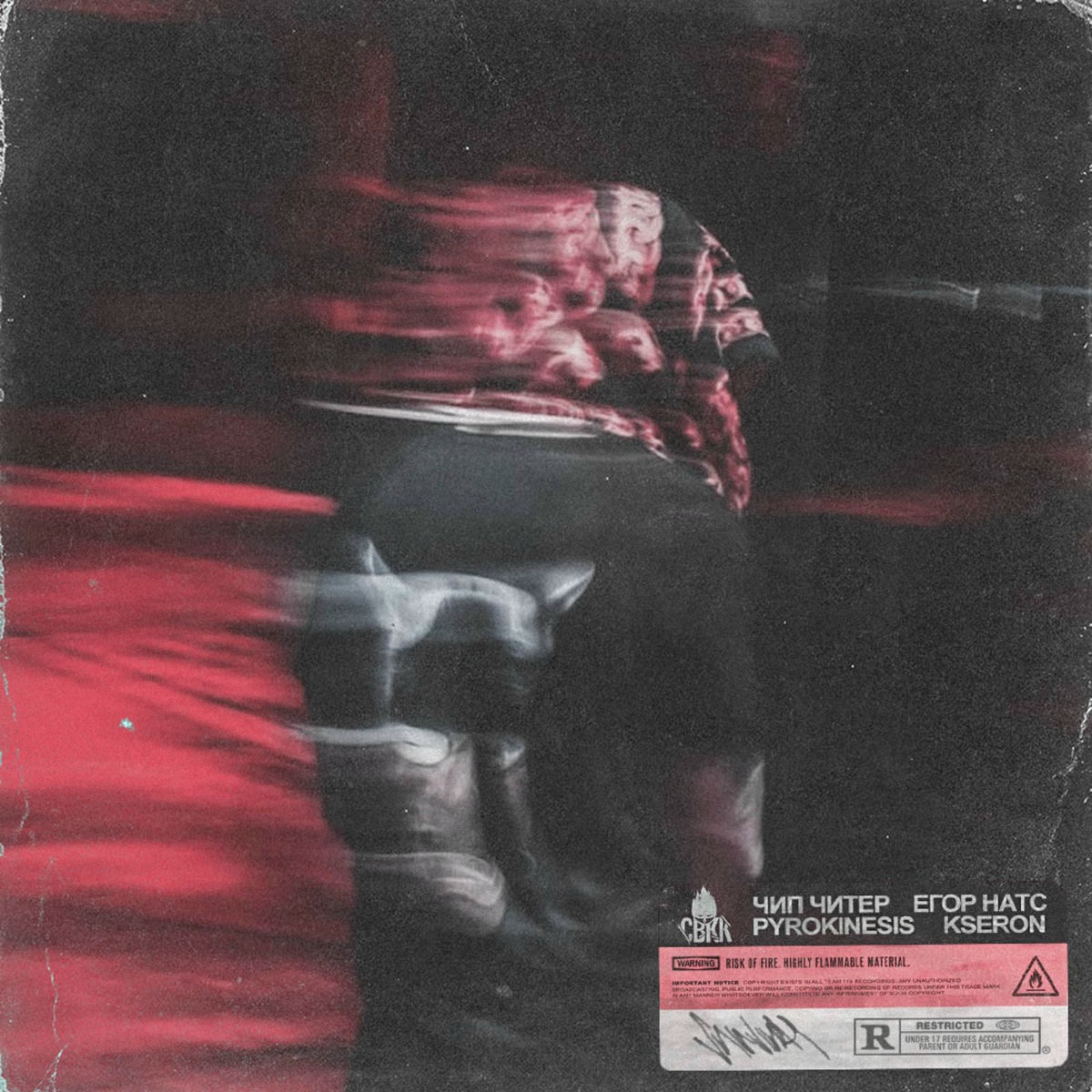Album cover of Survival