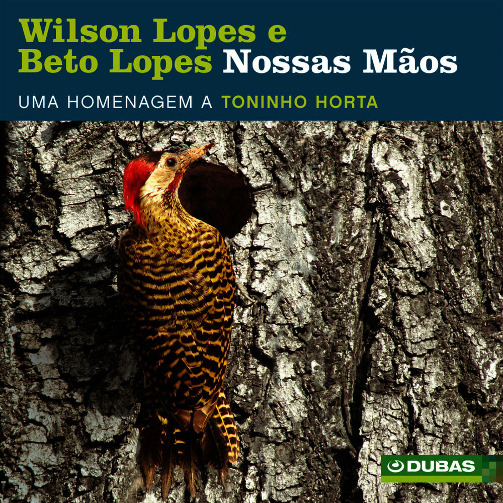 Picture of Nossas Mãos - Homenagem a Toninho Horta