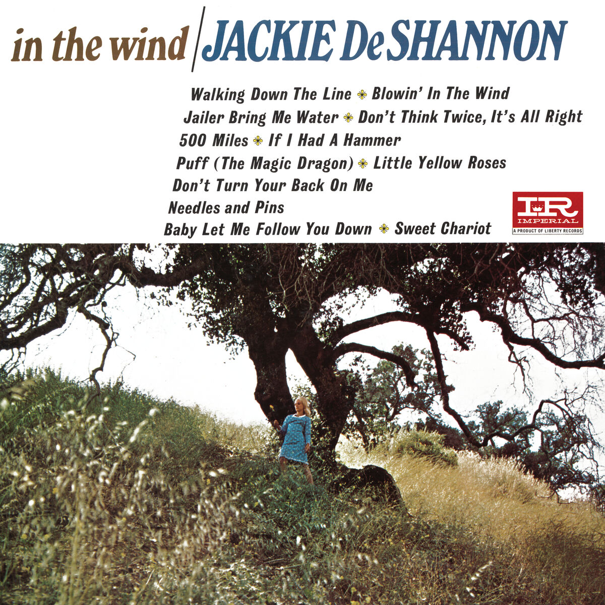 Album cover of In The Wind