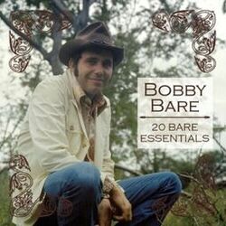Cover of 20 Bare Essentials