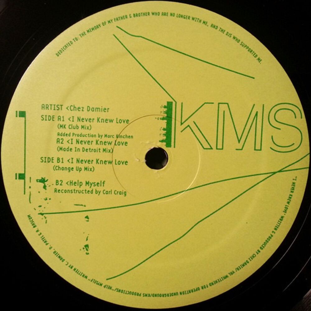Picture of I Never Knew Love