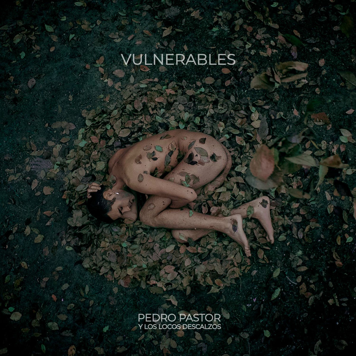 Album cover of Vulnerables