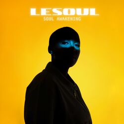 Cover of Soul Awakening