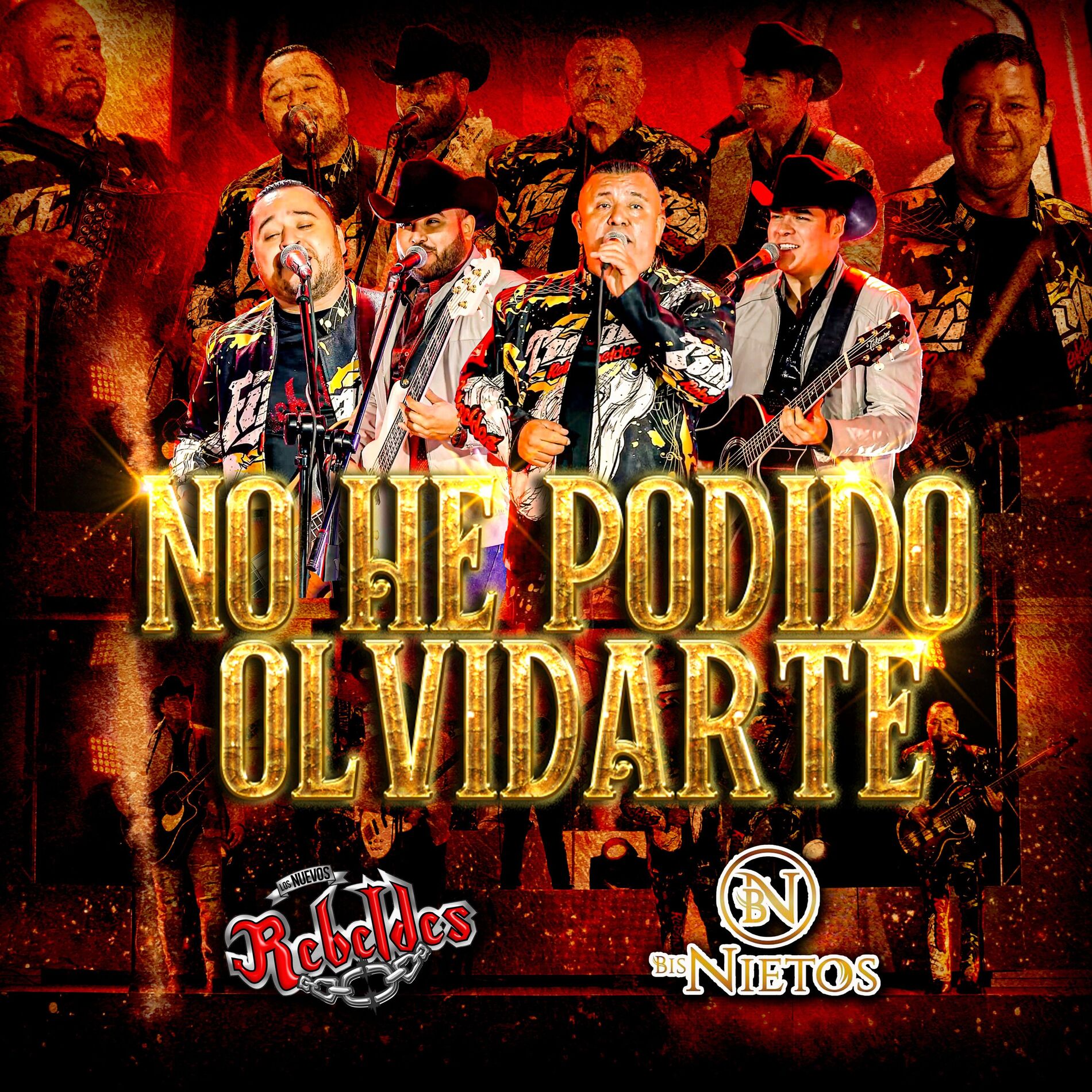 Album cover of No He Podido Olvidarte