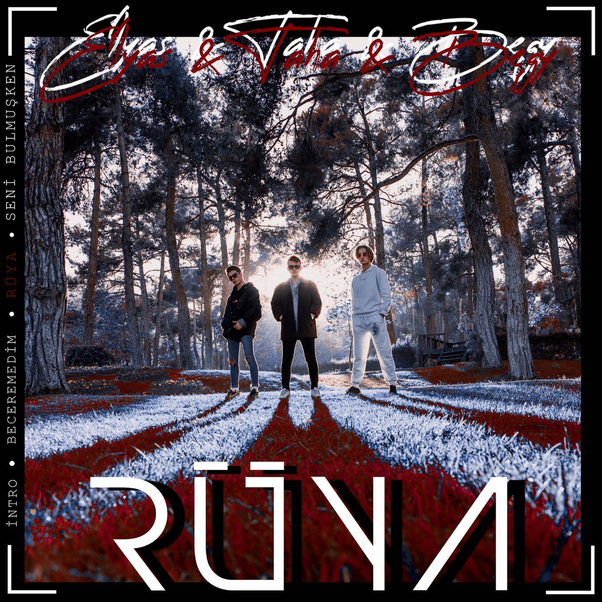 Album cover of Rüya