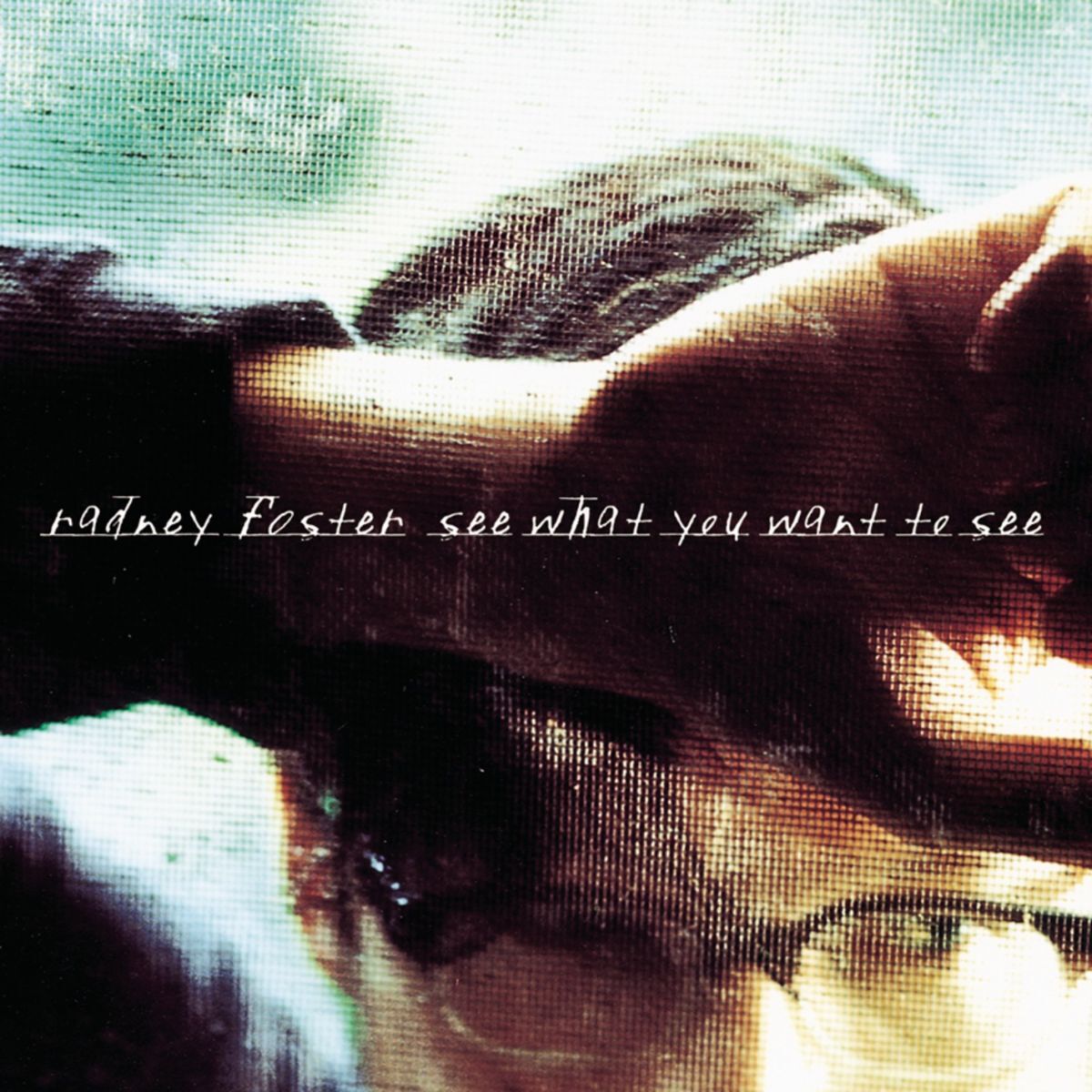 Album cover of See What You Want To See