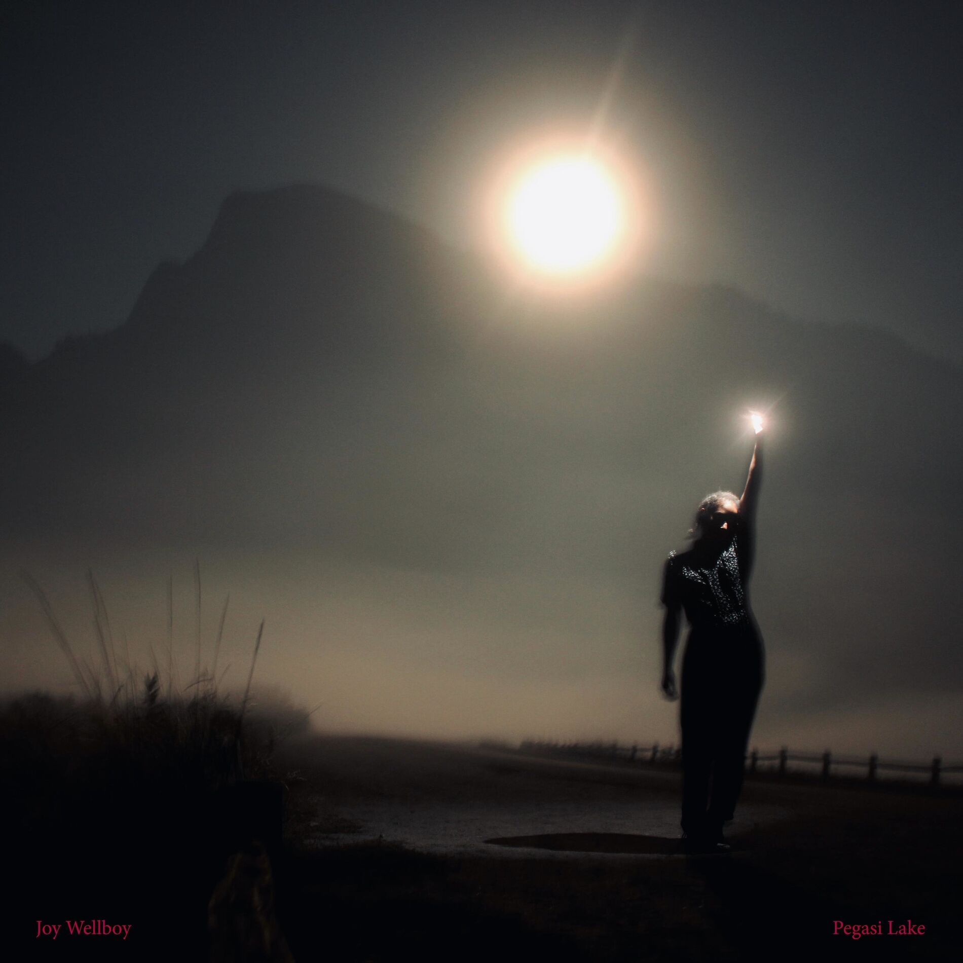 Album cover of Pegasi Lake