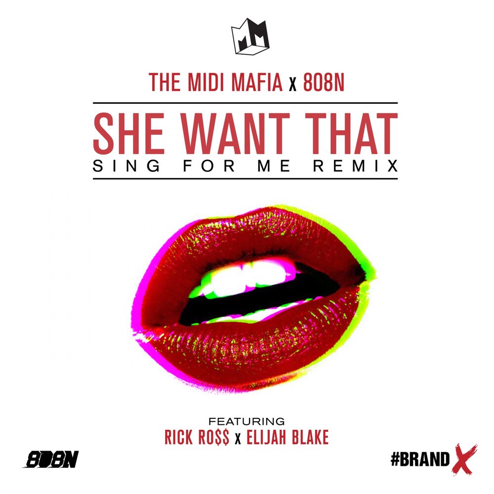 Picture of She Want That (feat. Rick Ross & Elijah Blake) (Sing For Me Remix) - Single