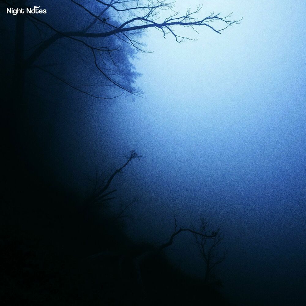 Picture of Calm Wind