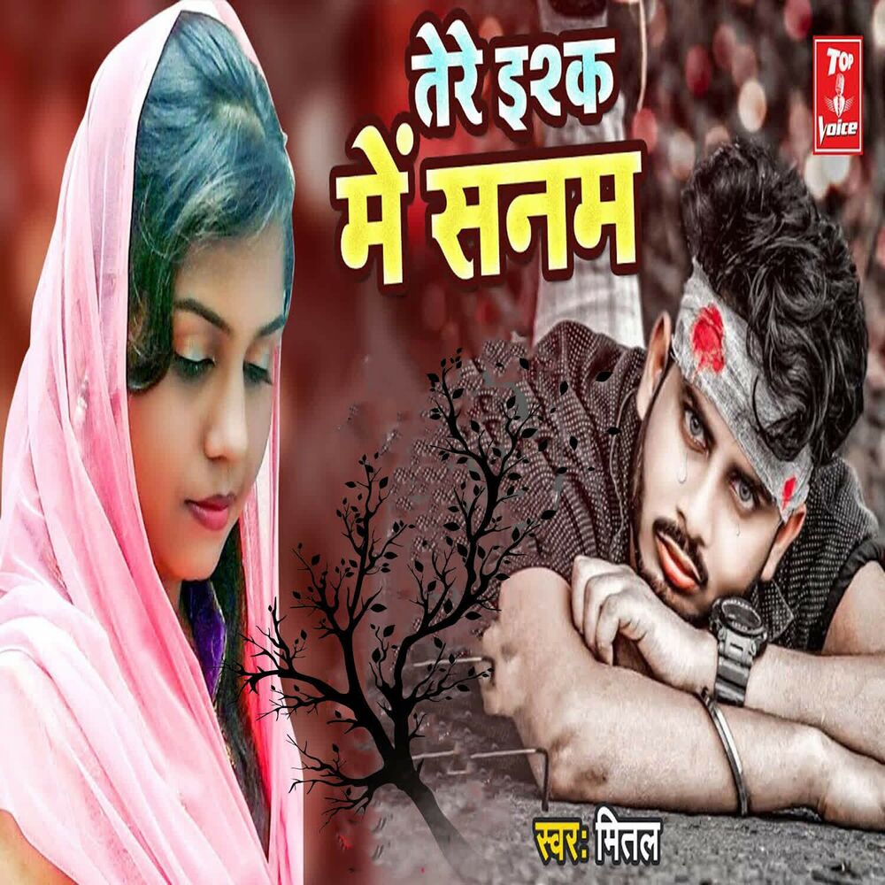 Picture of Tere Ishq Me Sanam