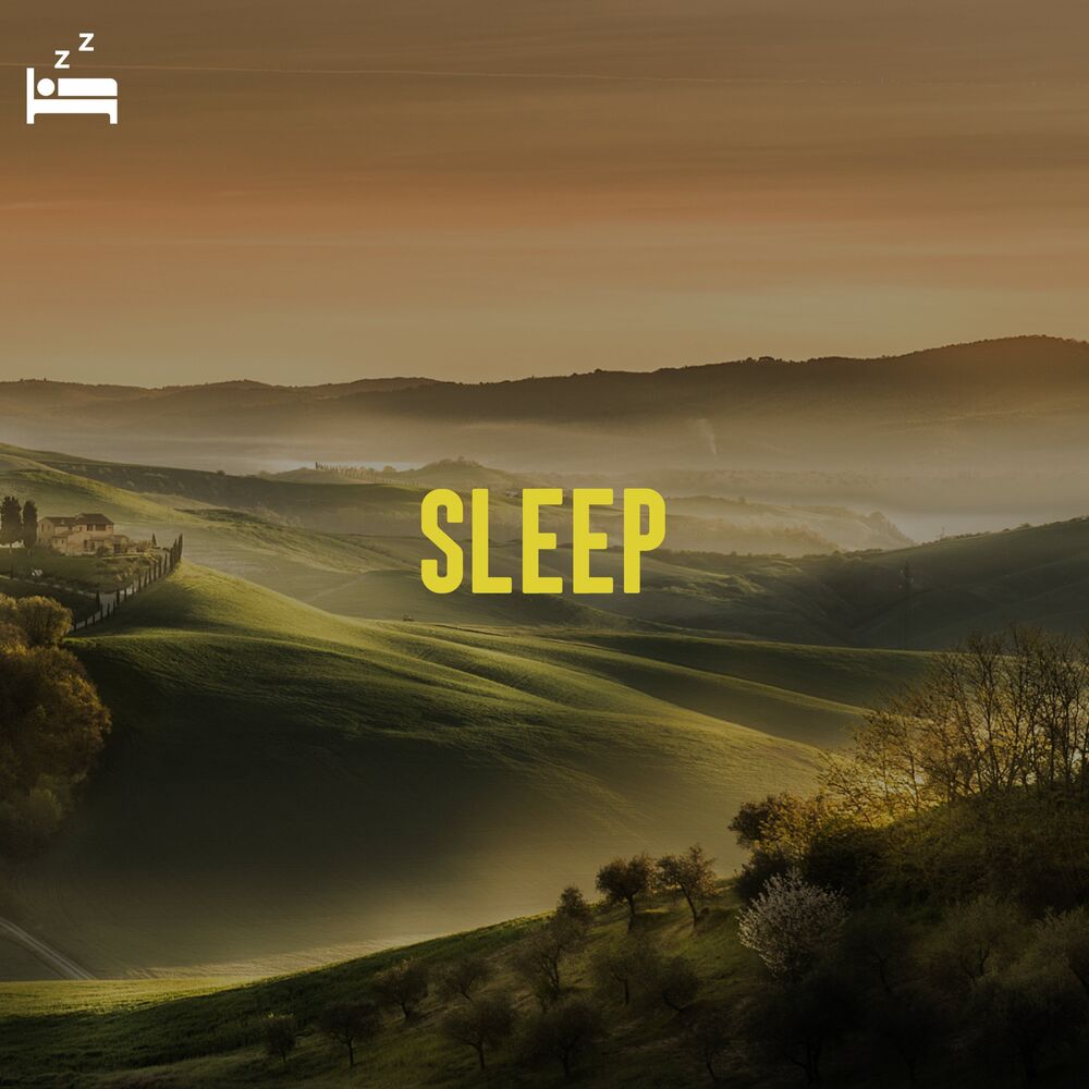 Picture of Sleep