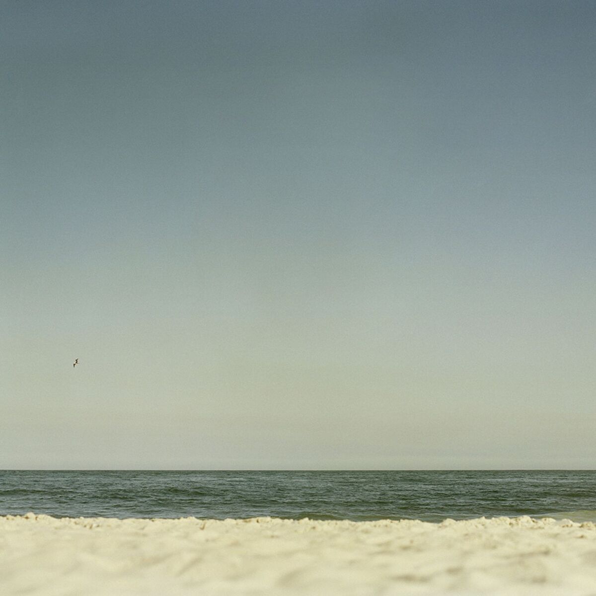 Album cover of A Praia