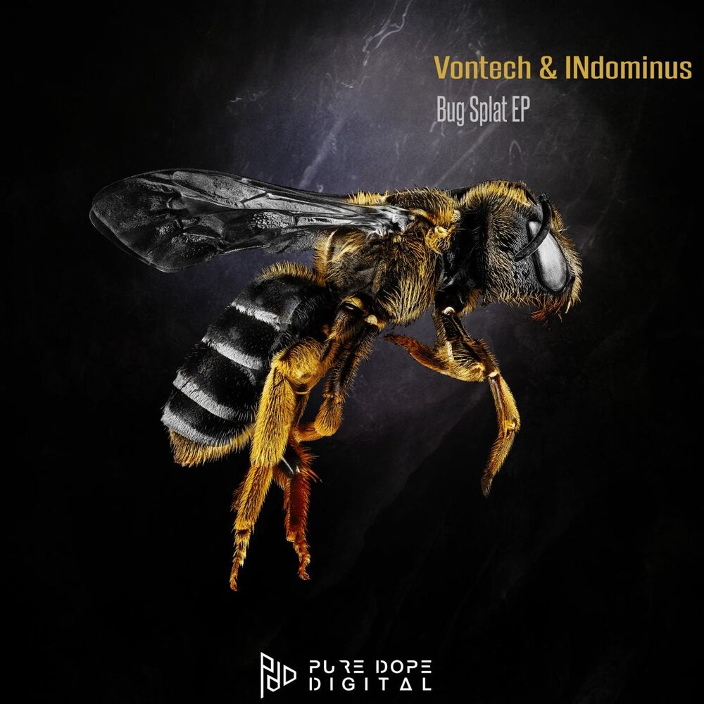 Picture of Bug Splat EP