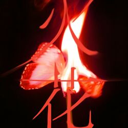 Cover of I burn