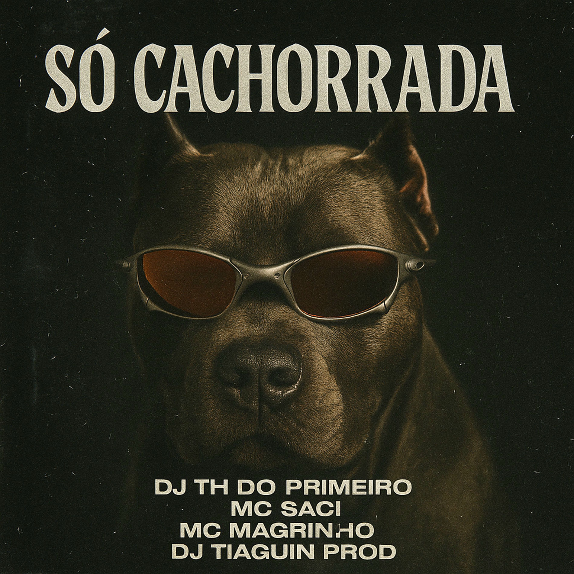 Album cover of Só Cachorrada