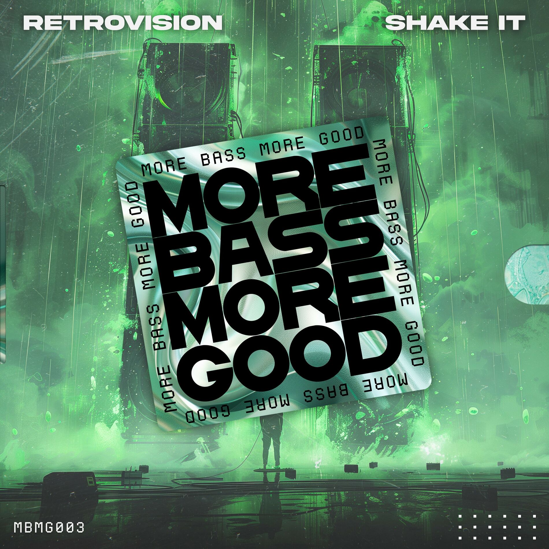 Album cover of Shake It