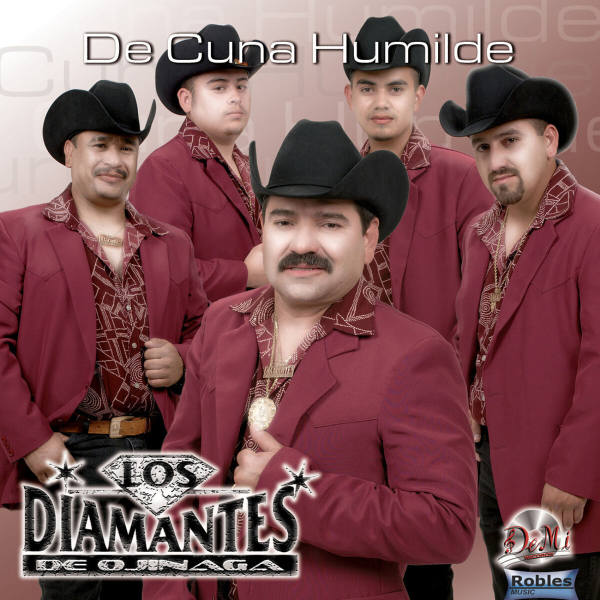 Album cover of Disculpa Usted