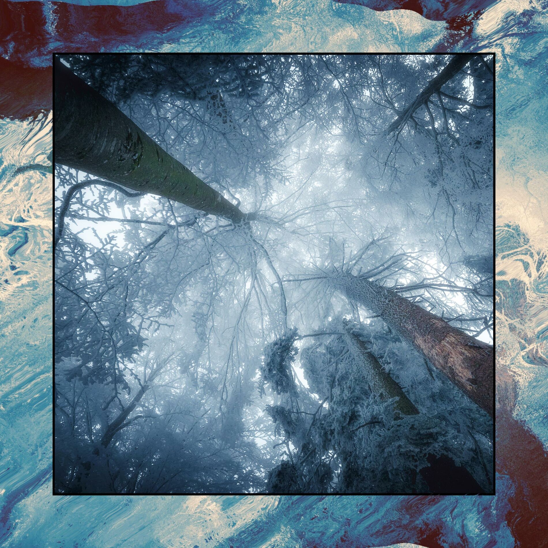 Album cover of The Cold Never Bothered Me Anyway