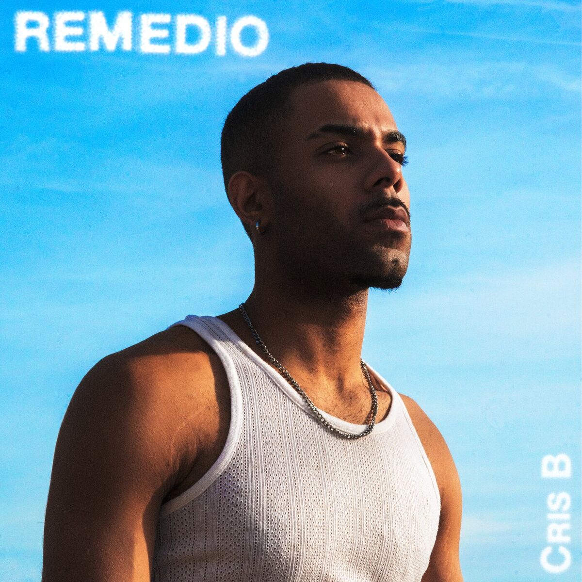Album cover of REMEDIO