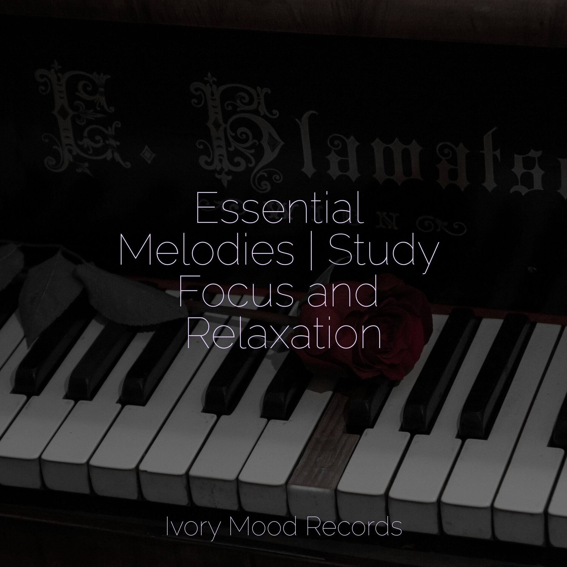 Album cover of Essential Melodies | Study Focus and Relaxation