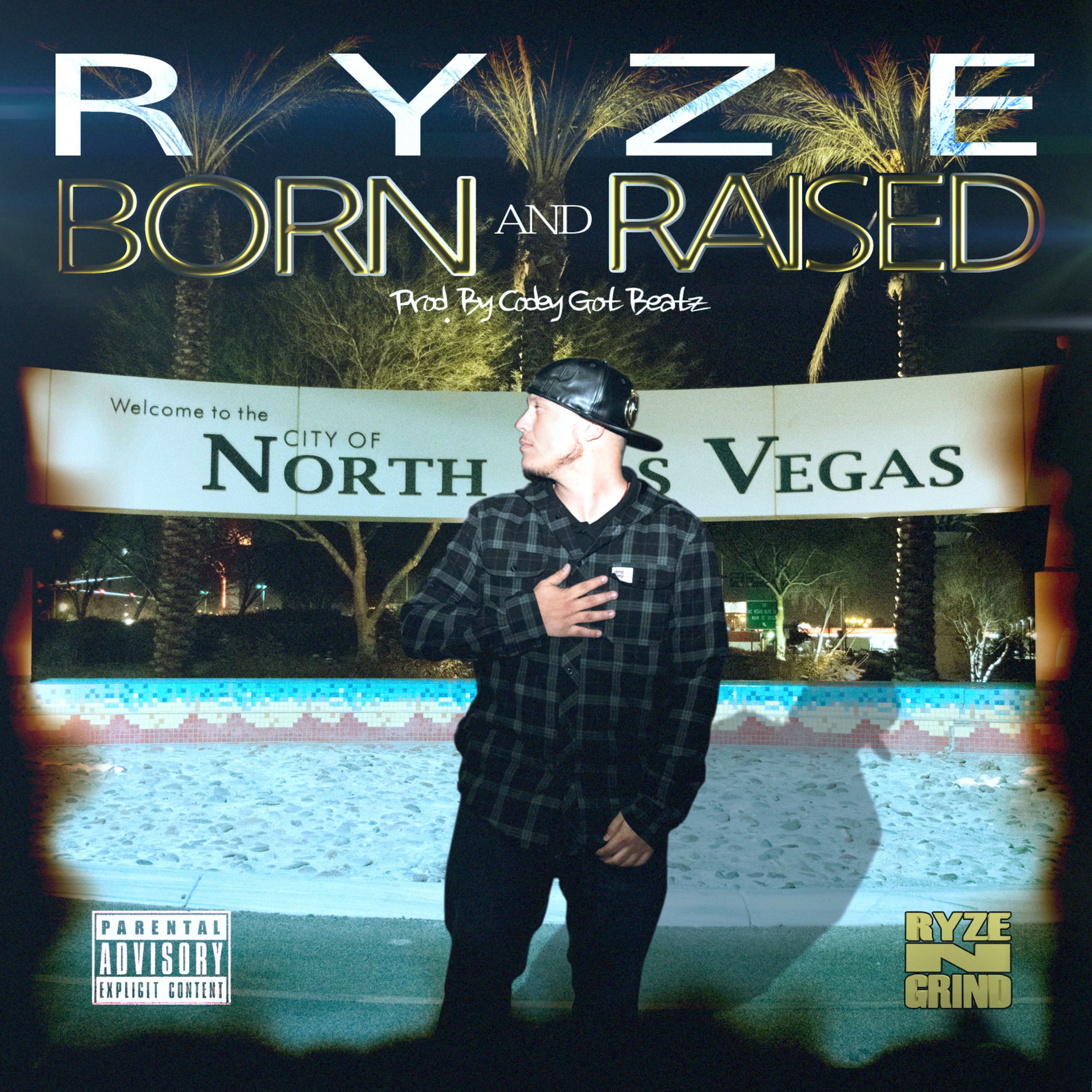 Album cover of Born and Raised
