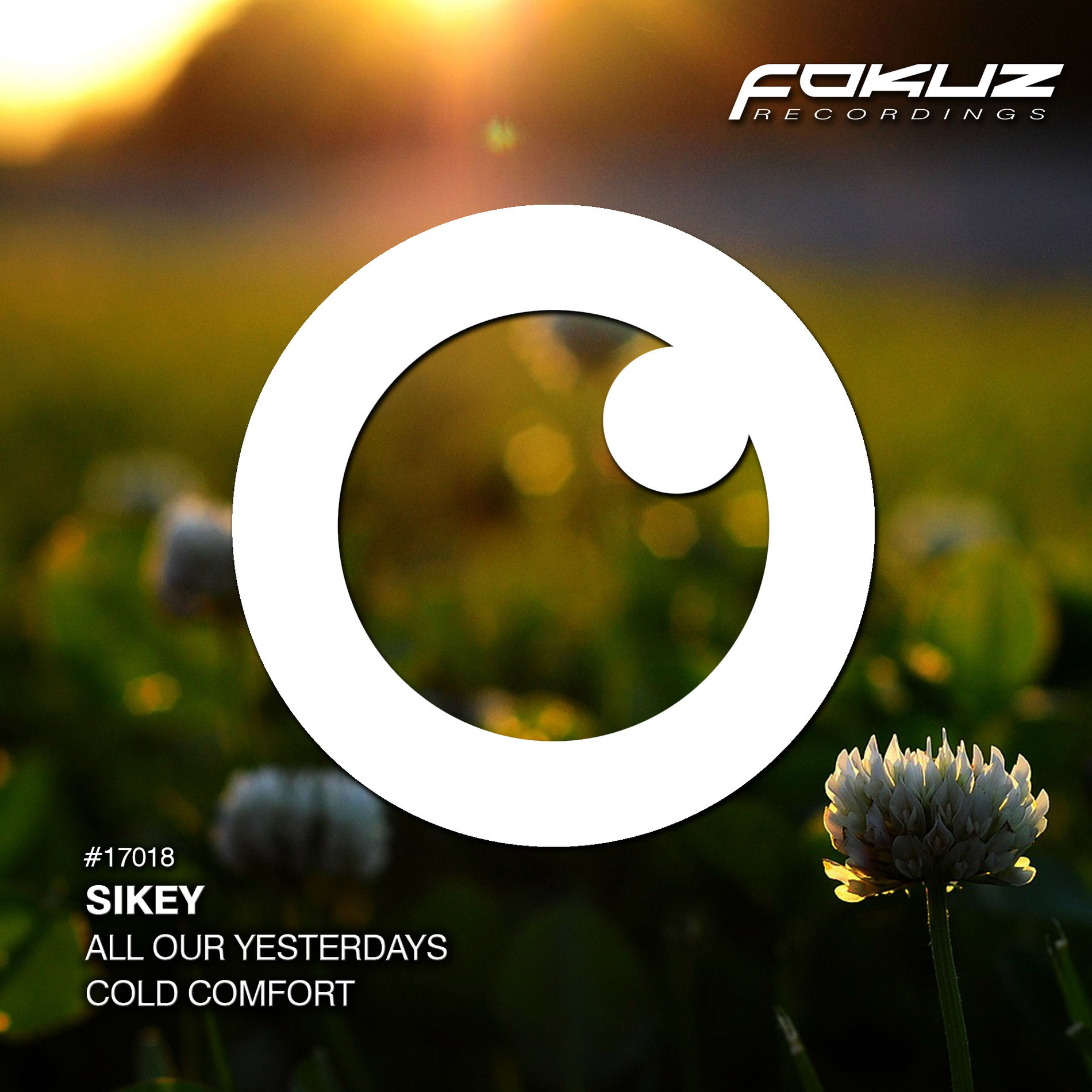 Album picture of All Our Good Yesterdays / Cold Comfort