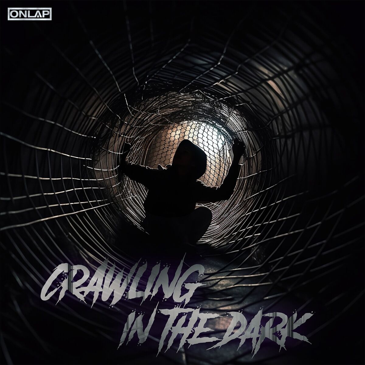 Album cover of Crawling in the Dark