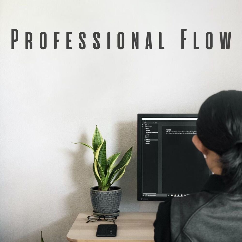 Picture of Professional Flow: Meditation Music for Work