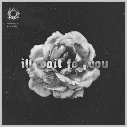i'll wait for you (unplugged)