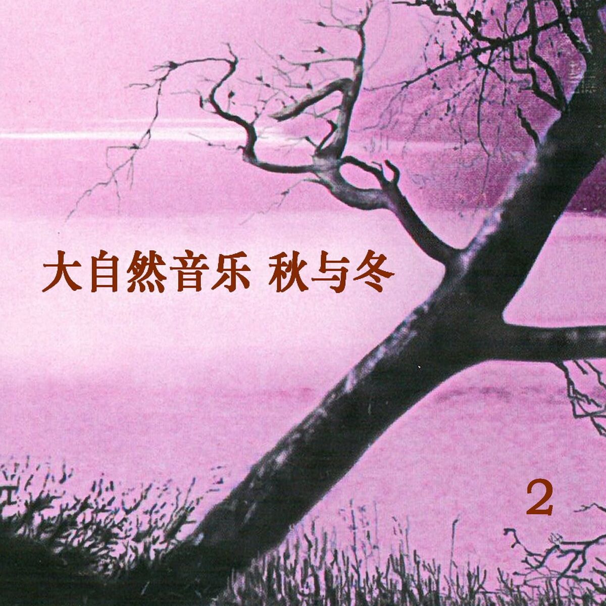 Album cover of 大自然音乐 秋与冬 2