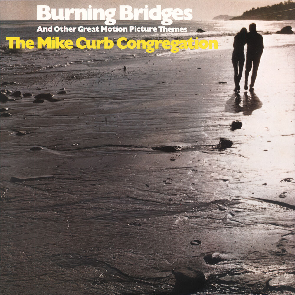 Picture of Burning Bridges And Other Great Motion Picture Themes