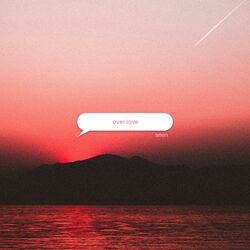 Cover of over love