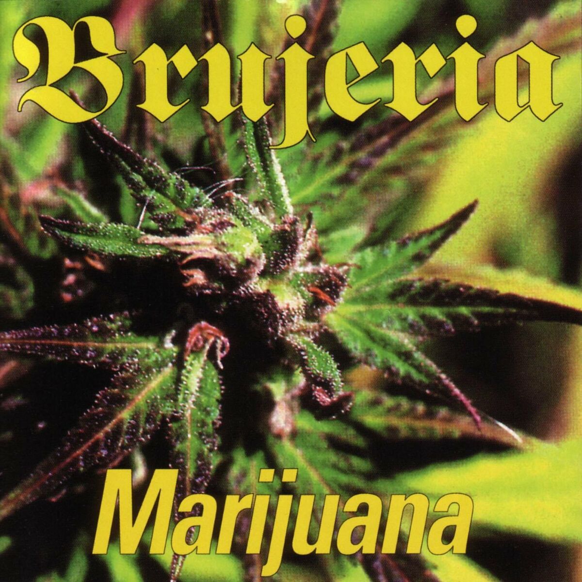 Album cover of Marijuana