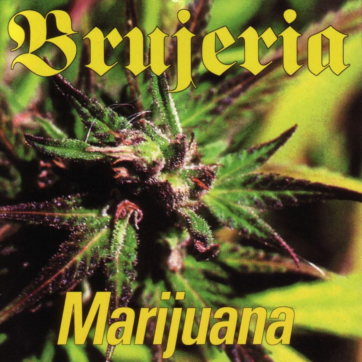 Album cover of Marijauna