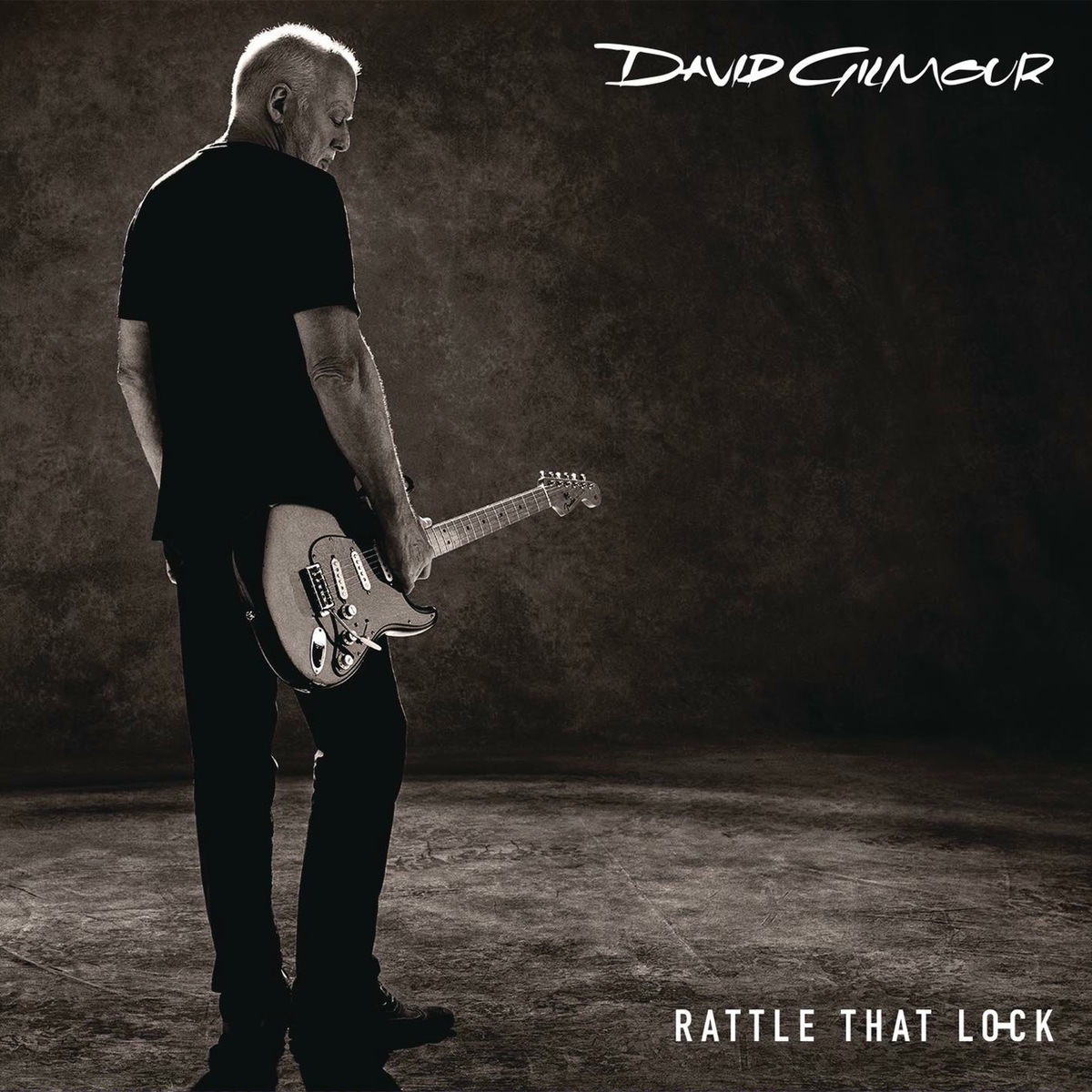 David Gilmour Rattle That Lock レコード LP David Gilmour - Rattle That Lock (Vinyl LP) | vinyl-digital