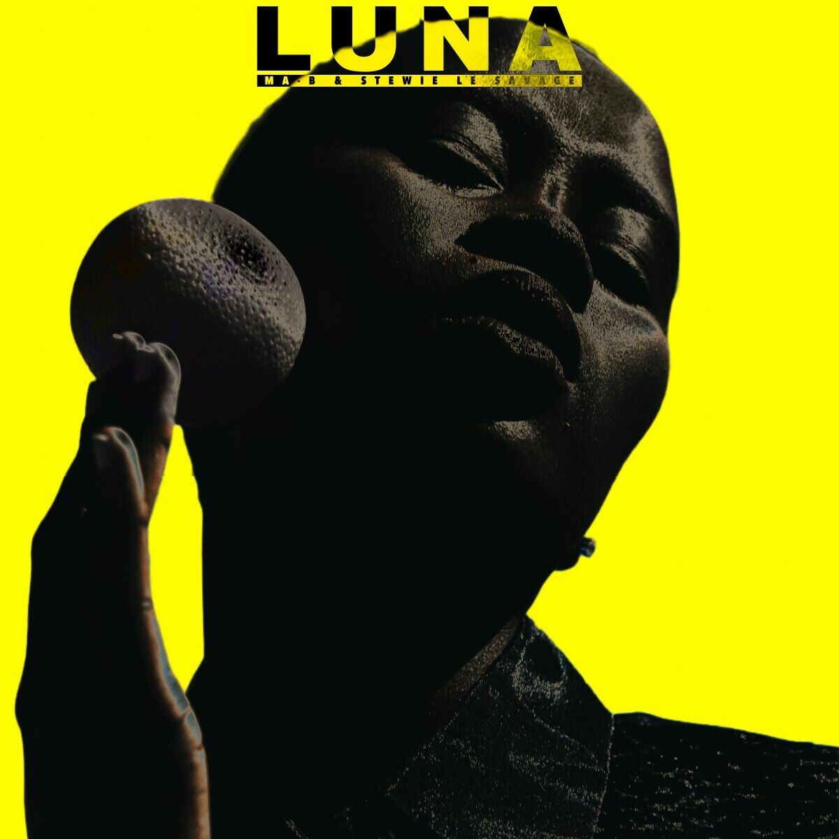 Album cover of Luna
