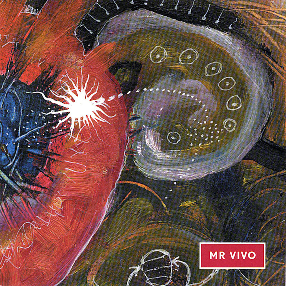 Picture of Mr Vivo