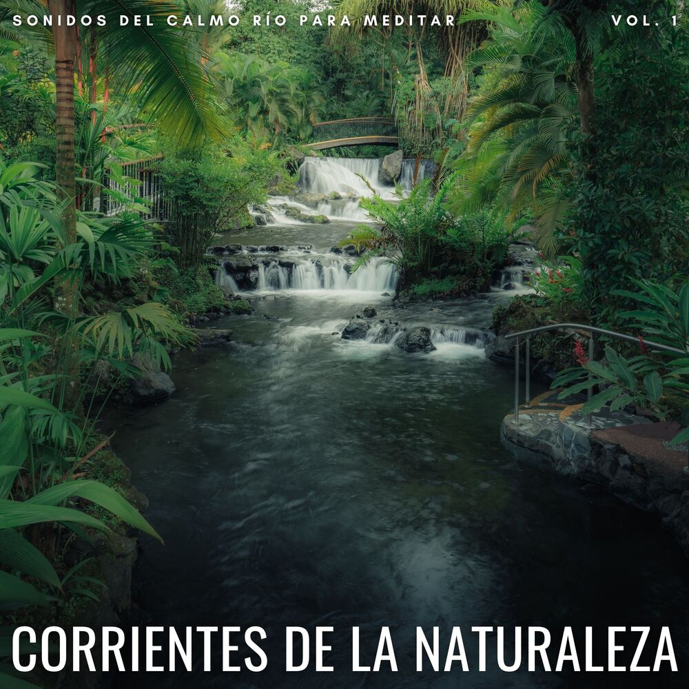 Picture of Corrientes De La Naturaleza: Sonidos Del Calmo Río Para Meditar Vol. 1
