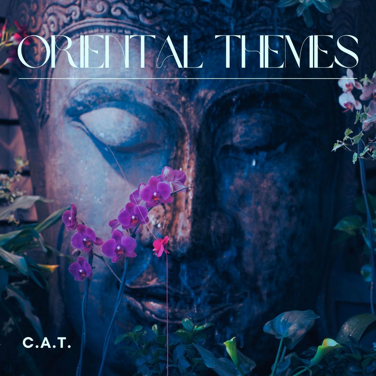 Album cover of Oriental Themes