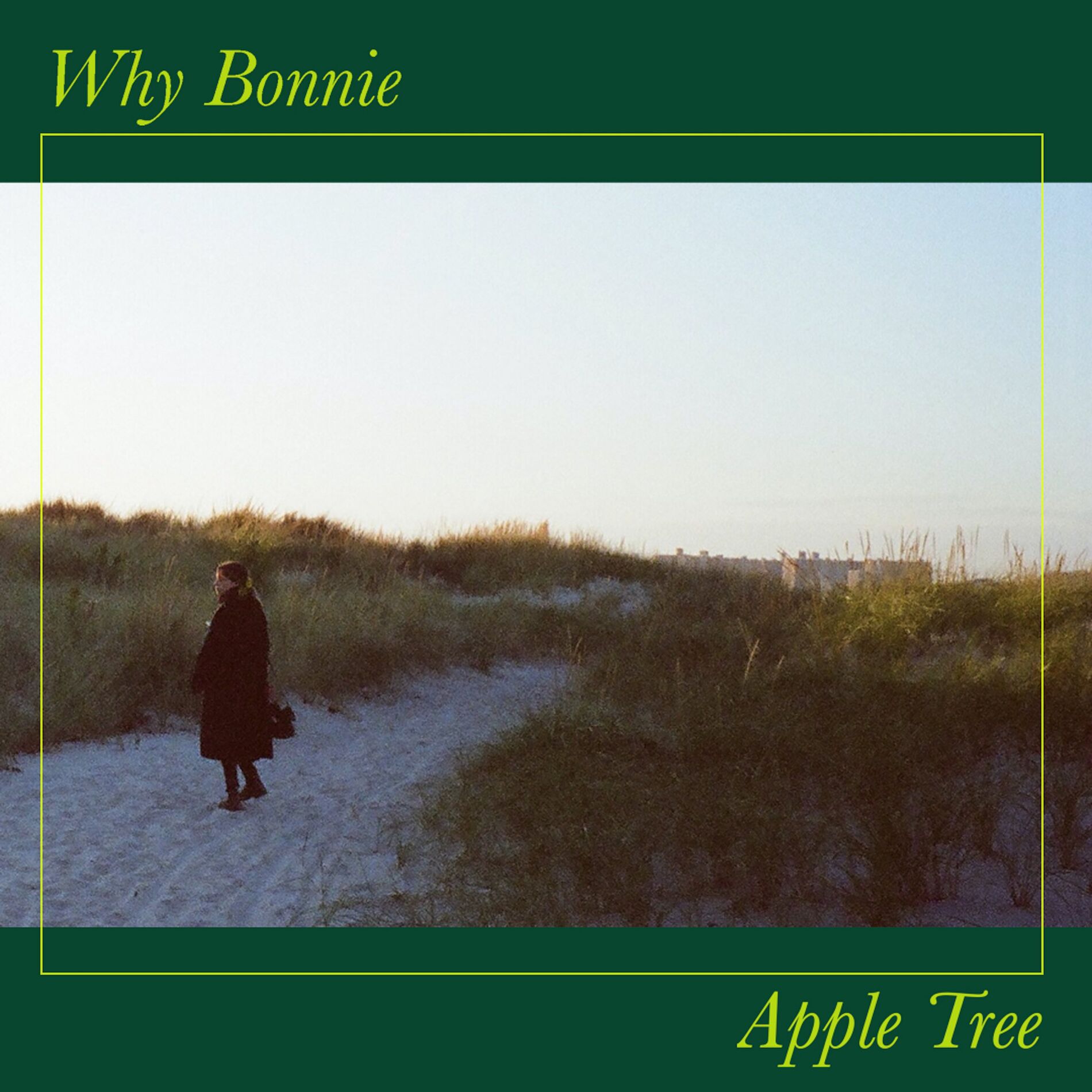 Album cover of Apple Tree