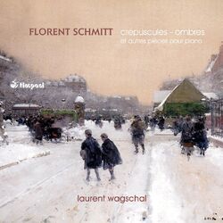 Cover of Schmitt: Crépuscules - Ombres