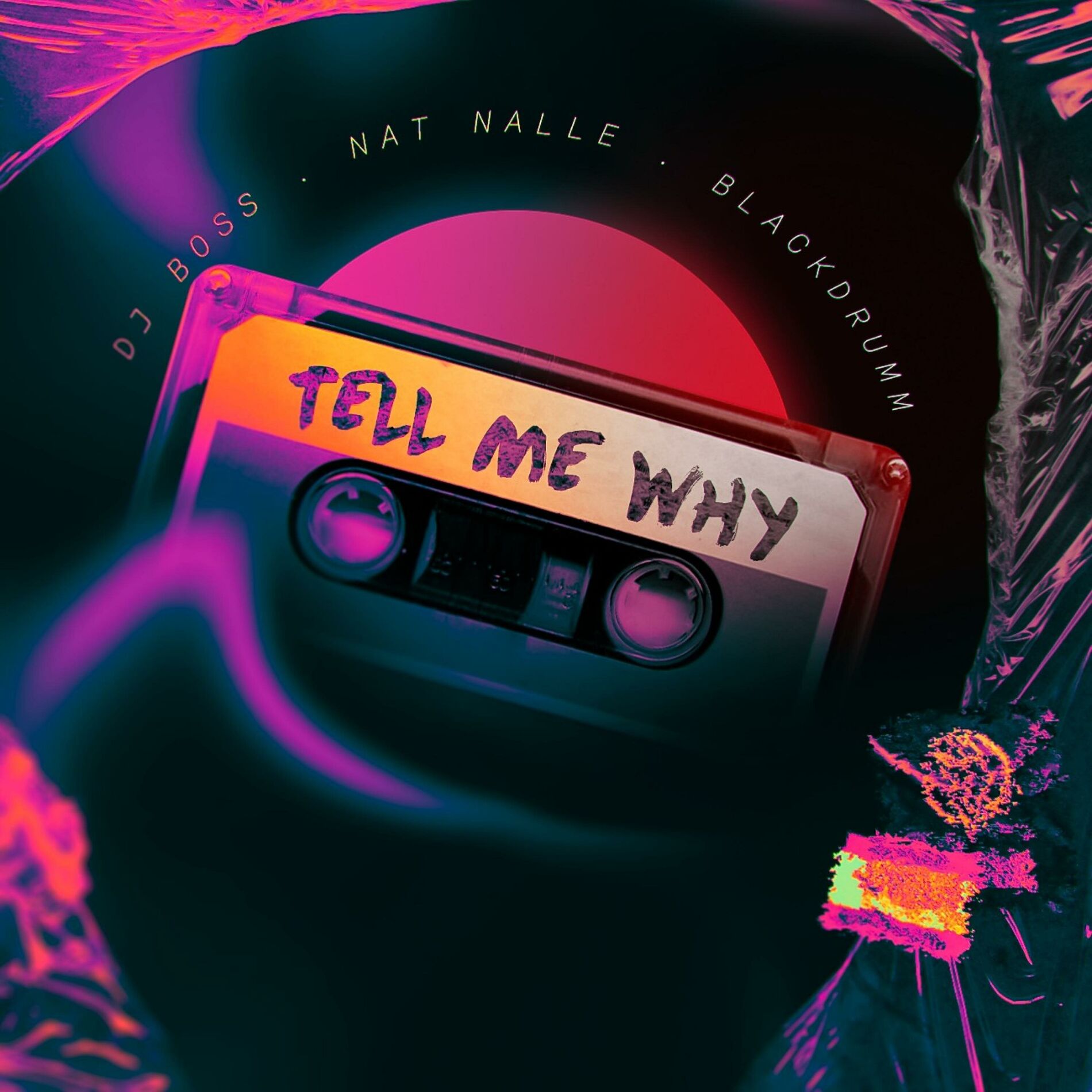 Album cover of Mega Tell Me Why