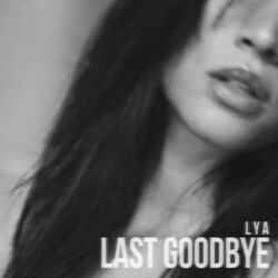 Cover of Last Goodbye