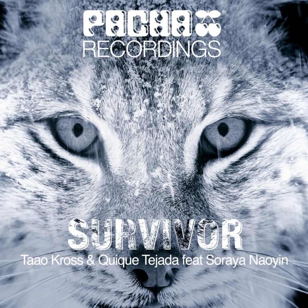 Picture of Survivor