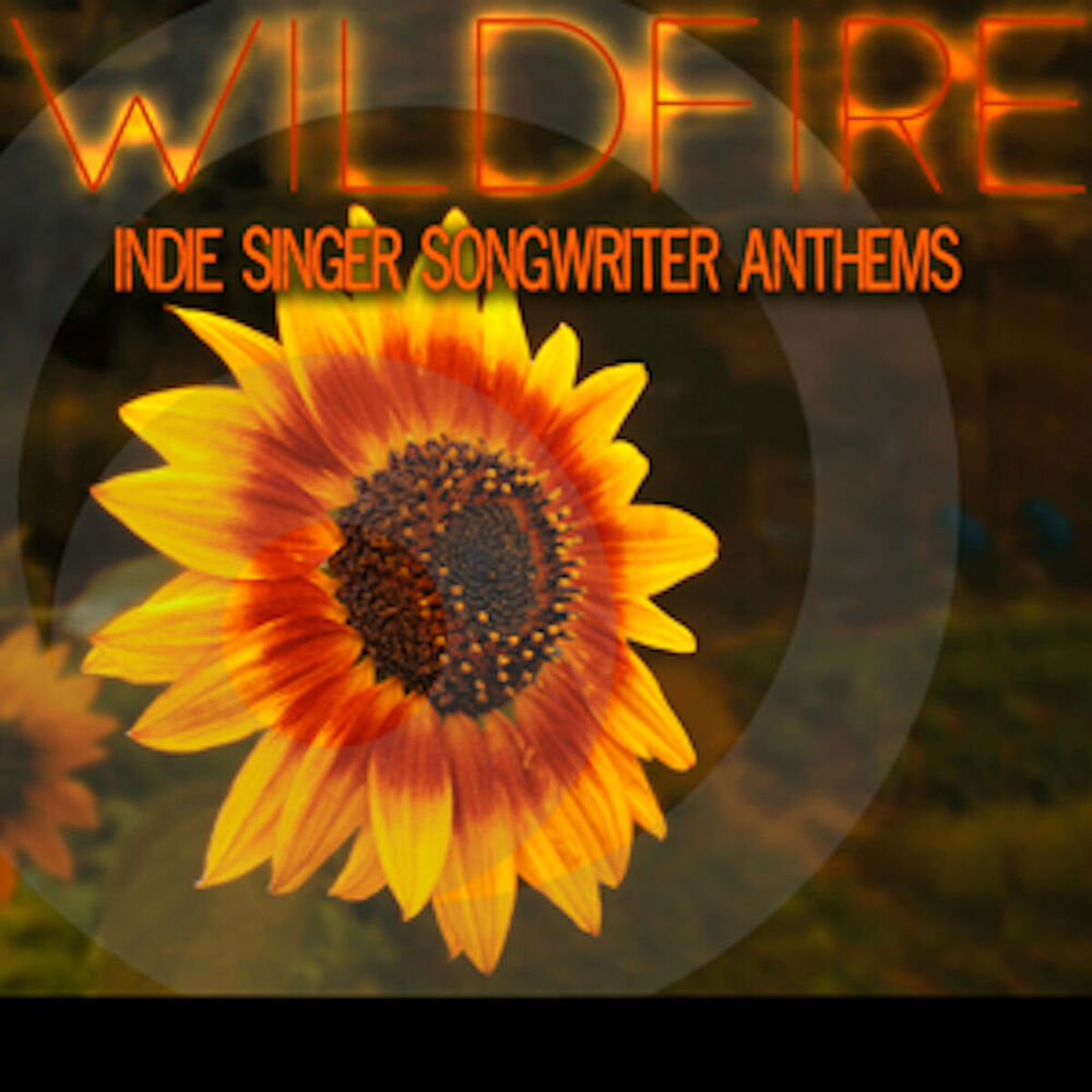 Picture of Wildfire: Indie Singer Songwriter Anthems
