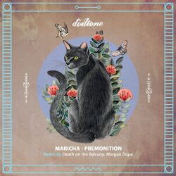 Cover of Premonition